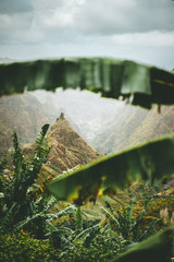 Mountain peak of Xo-xo valley visible throught the banana leaves frame down the valley. One of the best trekking route on Santo Antao island, Cape Verde. Cloudy weather