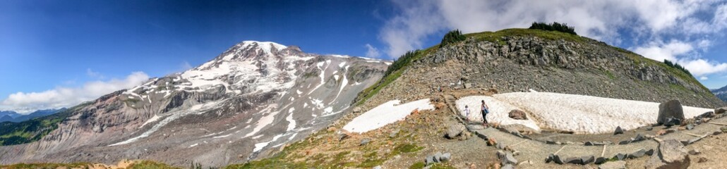 Fototapeta na wymiar Mount Rainier National Park trail in summer season