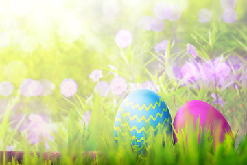 Easter eggs on wooden plank covering with green grass