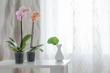 Photo sur Plexiglas Orchidée orchidée sur table sur le fond de la fenêtre