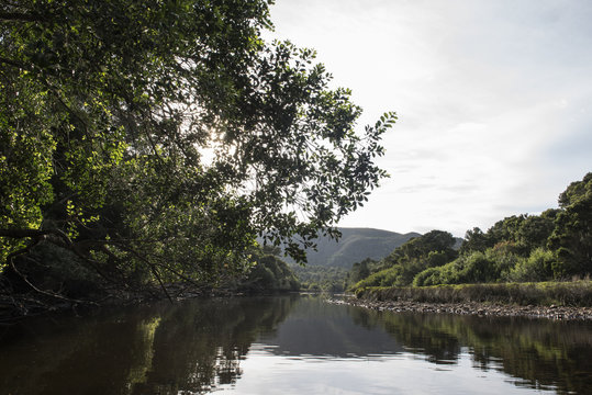 Tranquil Groot River