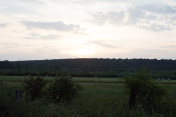 Obraz premium Crosses at World War One Cemetery at Verdun