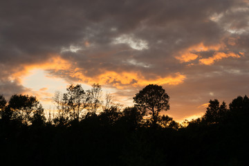 Swamp Clouded Sunset