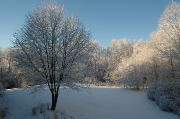 Winter in Sweden