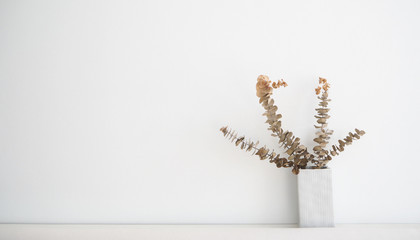 Dried eucalyptus branches in vase with white wall.