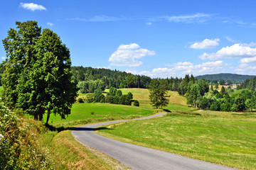 Fototapeta na wymiar Green summer meadow with dirt road, Beskid Niski Poland