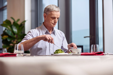 Healthy salad. Focused pretty mature man looking at the plate while taking salad while posing on the blurred background