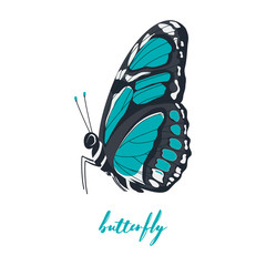 Fototapeta na wymiar card with butterfly