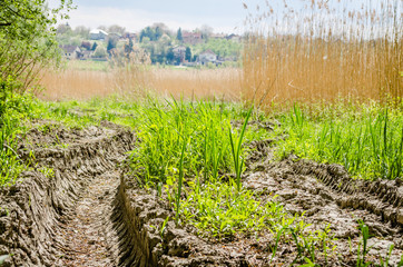 Obraz premium Traces of wheels on the dirt road through the woods