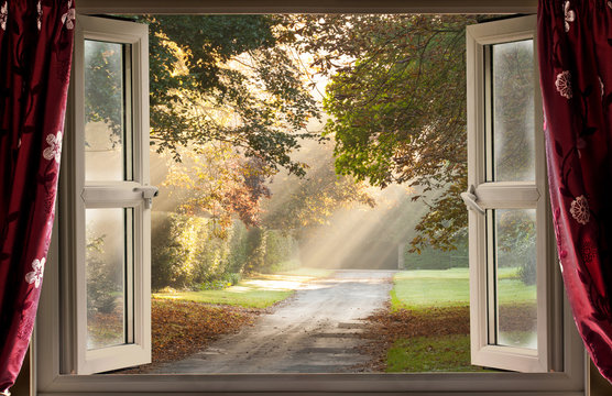 Fototapeta Open window view onto a glorious morning with sunlight rays coming though the trees onto a country lane.