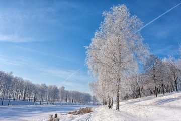 winter landscape