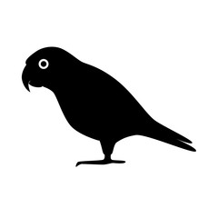 Senegal parrot silhouette icon in flat style