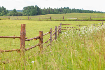 Fence from boards of logs on farm and  green grass  field in summer