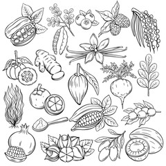 superfood icons