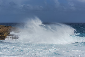 Panorama of the sea, wave which smashes against rocks 
