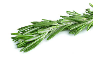 Fresh green rosemary isolated on a white background. Top view