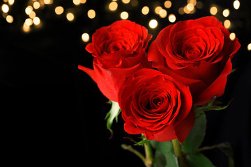 Fototapeta na wymiar Three red roses on dark background