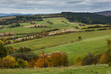 Fototapeta na wymiar Autumn landscape with trees and meadow near Czaszyn village, Bieszczady, Poland