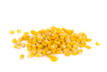 corn seed on white  background