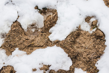 Clay and snow texture