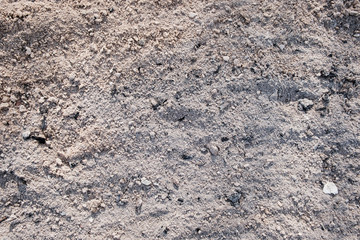 Seamless texture of wood ash scattered on the surface.