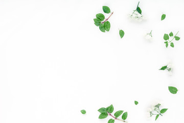 White flowers, green leaves on white background, flat lay, top view