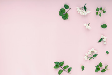 White flowers, green leaves on pink background, flat lay, top view