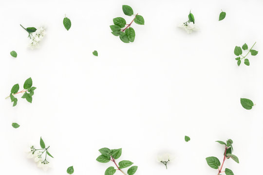 White Flowers, Green Leaves On White Background, Flat Lay, Top View