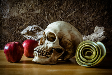 still life with skull and green apples