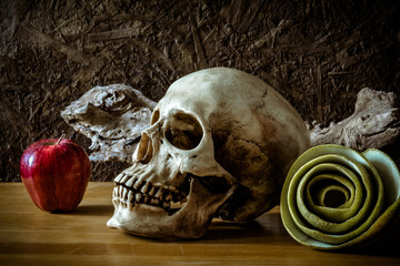 still life with skull and green apple