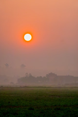 The view of the sunrise in the rice field in the morning or evening.