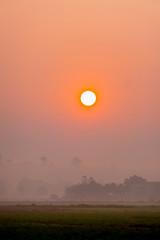 The view of the sunrise in the rice field in the morning or evening.