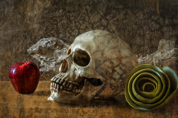 still life with skull and green apple