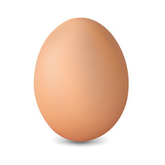 Fresh Egg Isolated