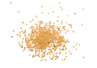 Yellow mustard seeds isolated on white background, top view