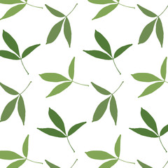 Spring pattern of hand drawn leaves on a white background. Vector illustration