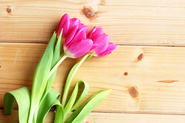 Fototapeta premium Top view of pink tulips arranged in line over wood background. Spring greetings card with tulips for Easter, Mother's Day. Copy space.