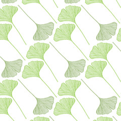 Spring pattern of hand drawn ginkgo leaves in a light green color palette on a white background. Vector illustration