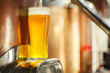 Tall glass of light beer in a brewery