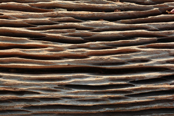 background of texture of old brown  wood with day light