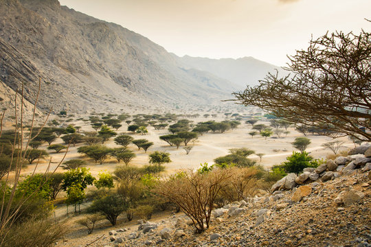 Jabal Jais mountain and desert landscape near Ras al Khaimah