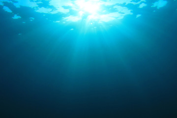 Fototapeta na wymiar Underwater background in ocean 