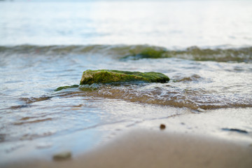 closeup shot of baltic sea shore at autumn morning