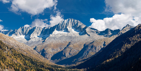 Peak of Care Alto - Adamello Trento Italy