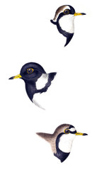 Fototapeta na wymiar Illustration of bird