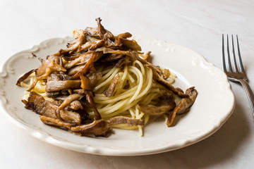 Turkish Toast or Tost / Triangle Club Sandwich with Melted Cheese, Ham and Served with Chips and Salad.