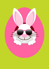 Front Easter Bunny Sunglasses Hiding In Egg Green/White