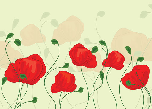 Poppy flowers, Floral background with poppies - Vector Illustration