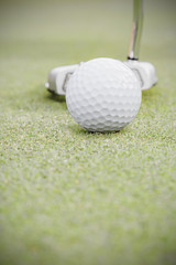 ゴルフ場のグリーンとボール