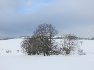 Fototapeta na wymiar Paysage d'hiver dans la campagne